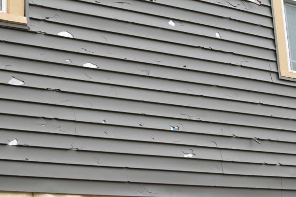 Professional Siding Installation & Repair in Burkburnett, TX