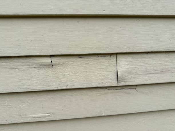 Best Aluminum Siding Installation  in Burkburnett, TX